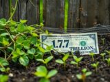 Pest Plants and Animals Leave a $1.7 Trillion Bill